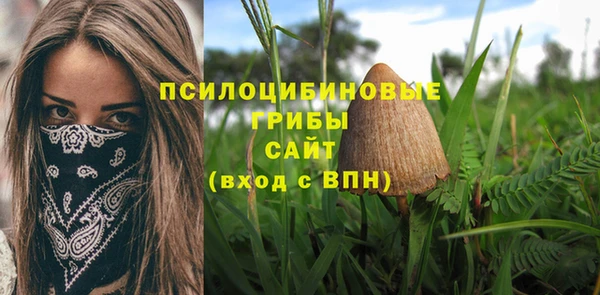 PSILOCYBIN Бугульма